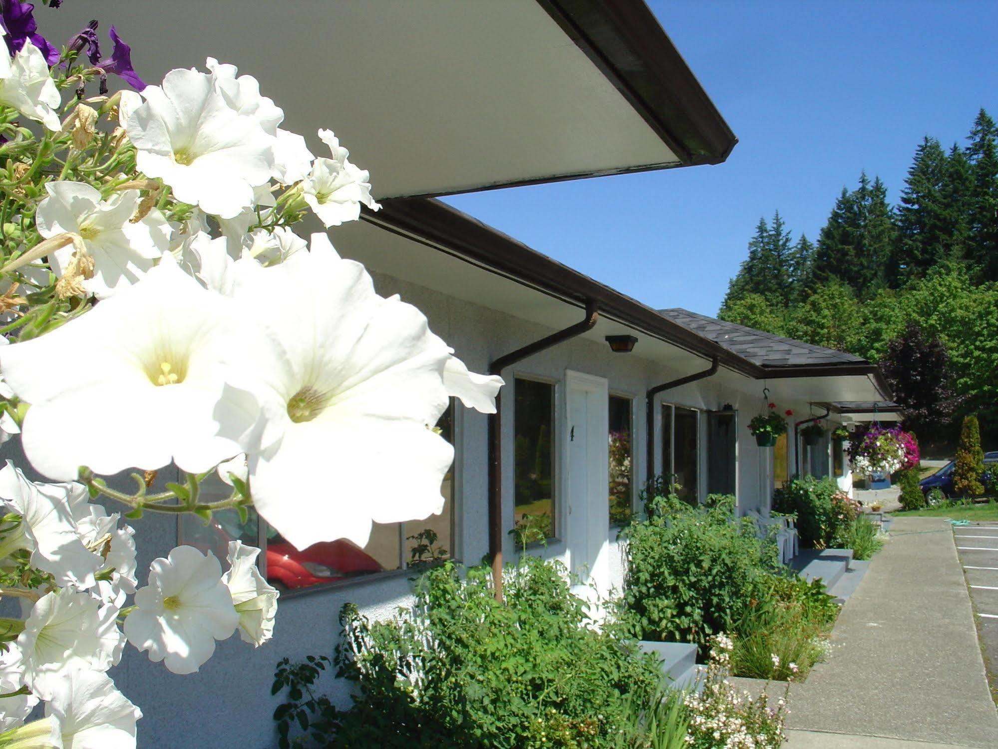 Sunset Motel Port Alberni Extérieur photo