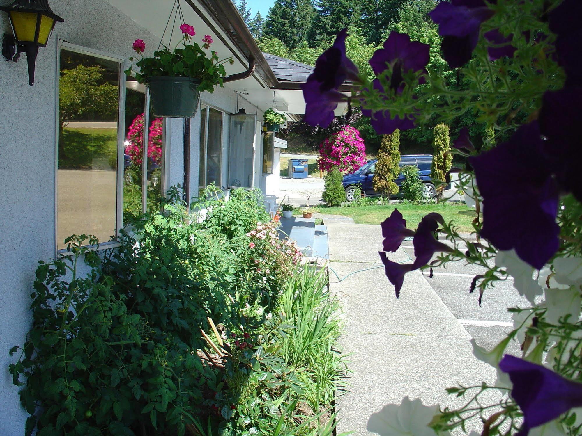 Sunset Motel Port Alberni Extérieur photo